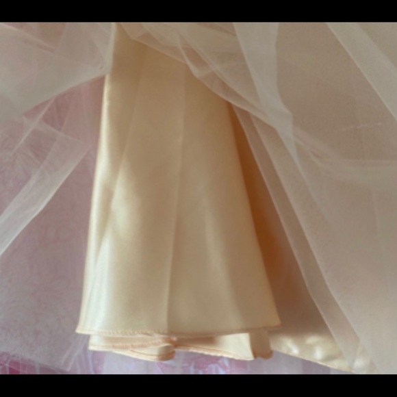 COPY - SPACE 46 TULLE SKIRT - Picture 4 of 6